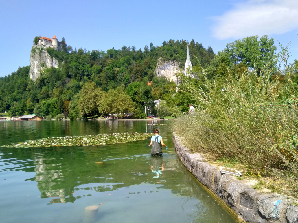 Bled_20190812_112114-1