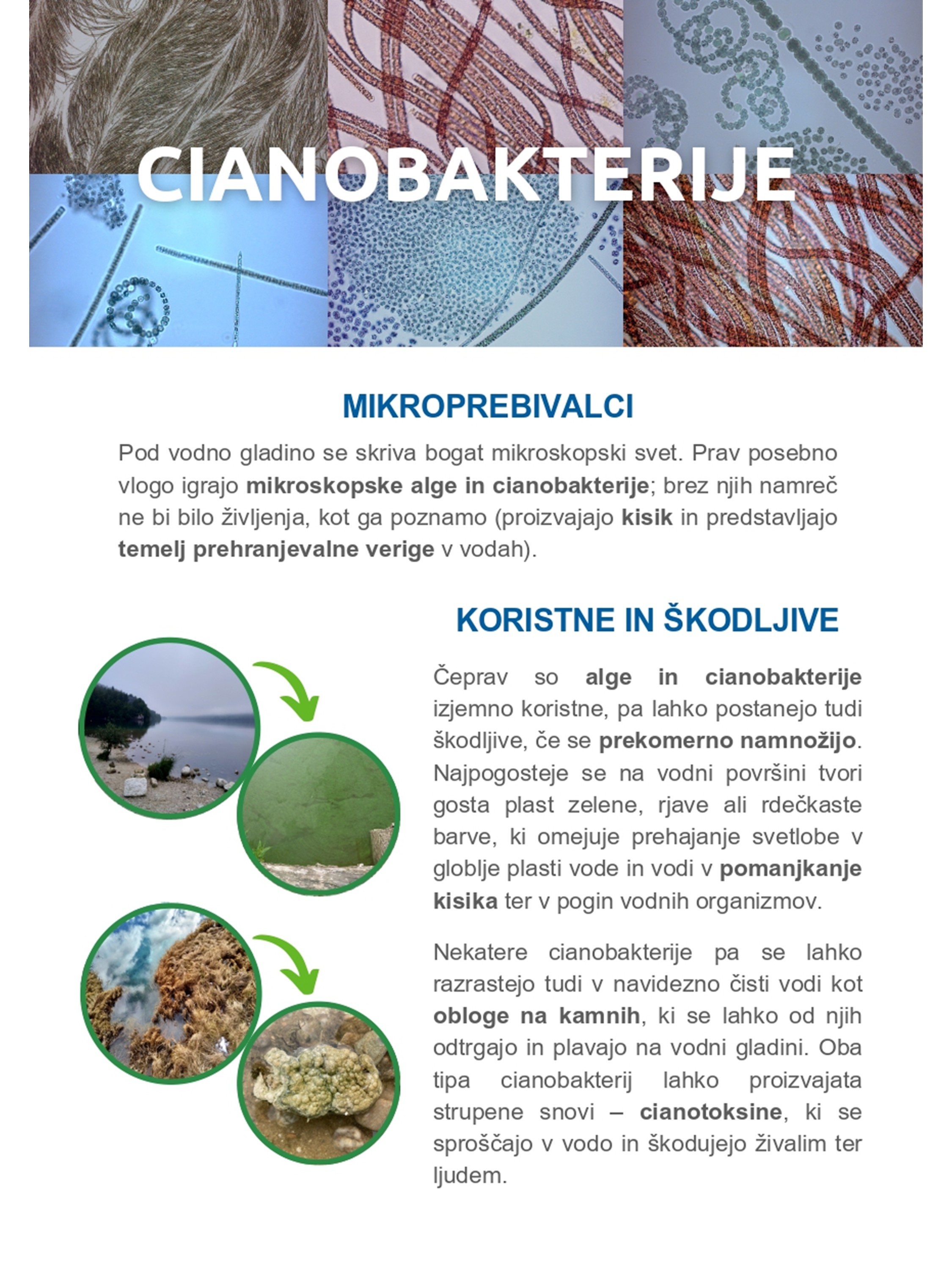 Slide5